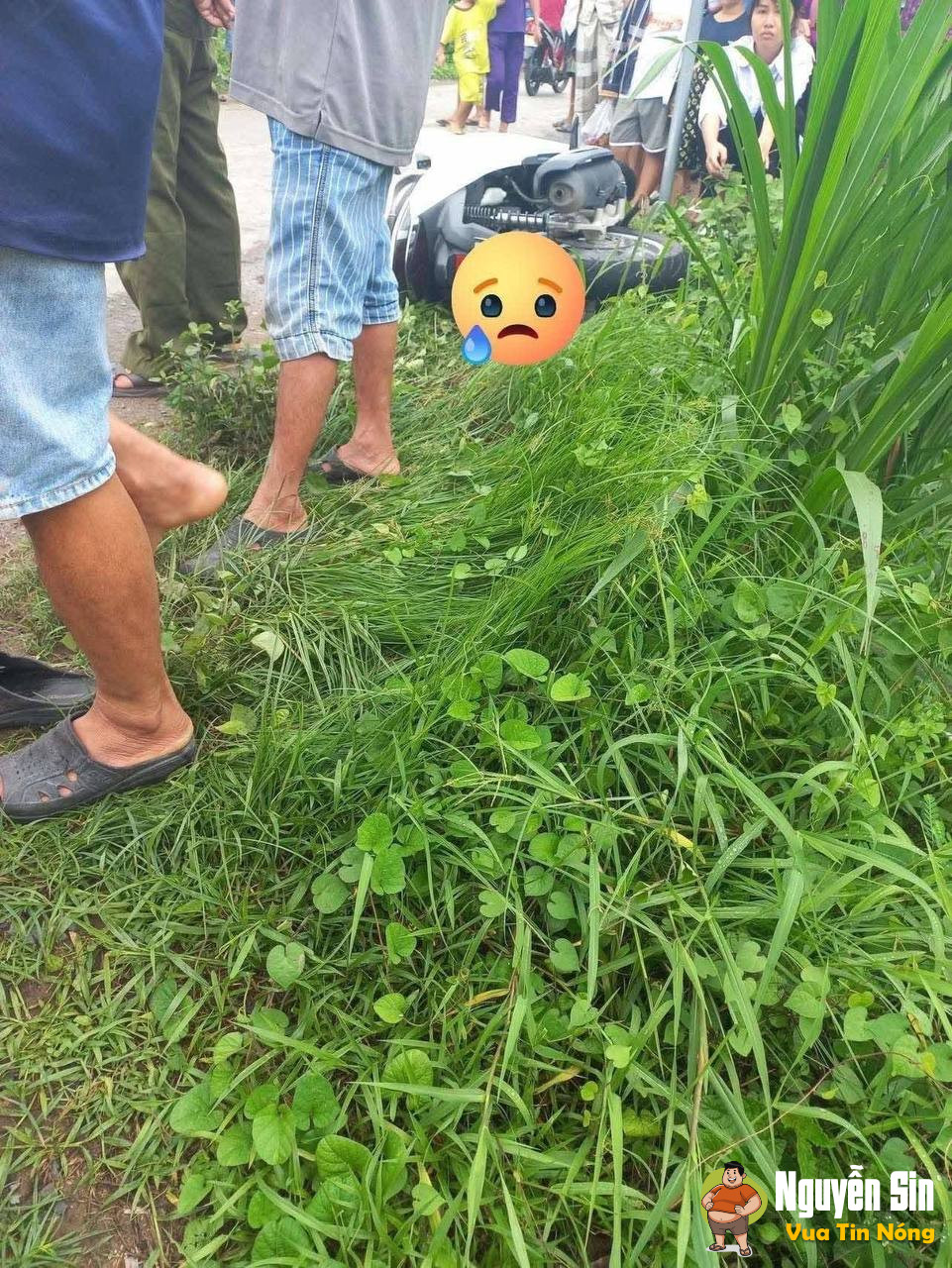 Cây đổ sà dây điện vướng xe máy.. điện giật.. thương tâm xảy ra trên địa bàn xã Lưu Nghiệp Anh, huyện Trà Cú, Trà Vinh