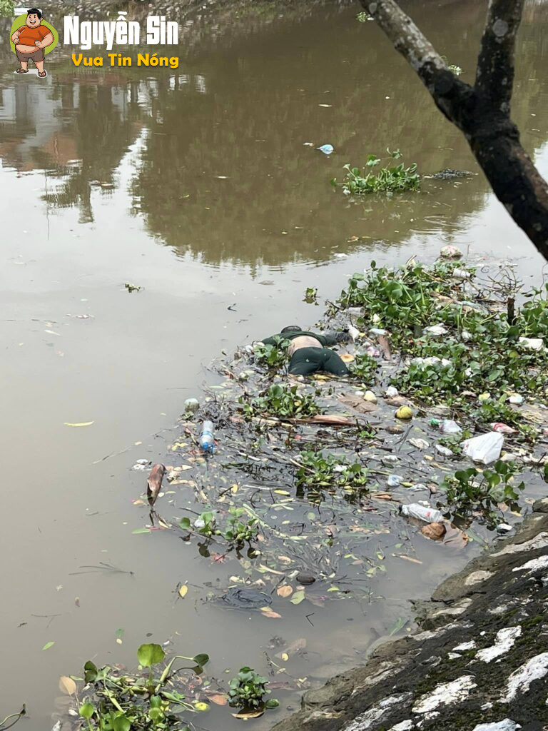 Sáng nay phát hiện 3 thithe