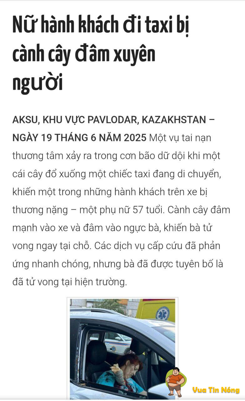 (Nước ngoài) Nữ hành khách đi taxi bị cành cây đ@m xuyên người