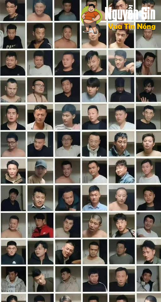 Hồng tỷ 38 tuổi và 1691 câyy lapp có cùng 1dấu răngg =)))