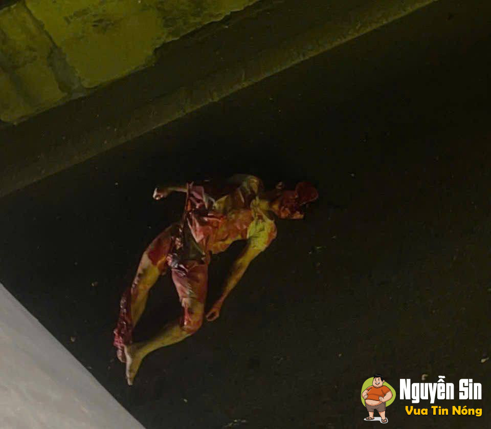 Nhảy cầu ở Bình Phú, Cai Lậy – Tiền Giang tối qua