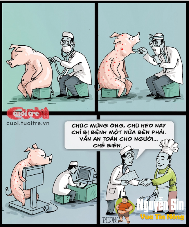 Kiểm dịch động vật: Chú heo bị bệnh… một nửa! Kiểm dịch động vật: Chú heo bị bệnh… một nửa!