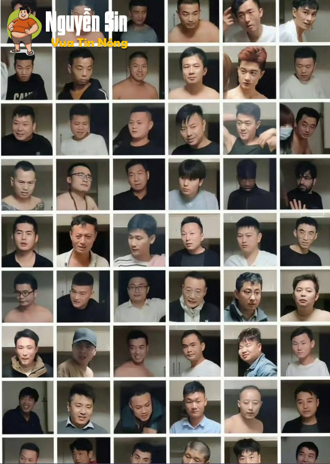 Chị Hồng Tỷ Trung Quốc Cái Tên Hot Nhất Lúc Này