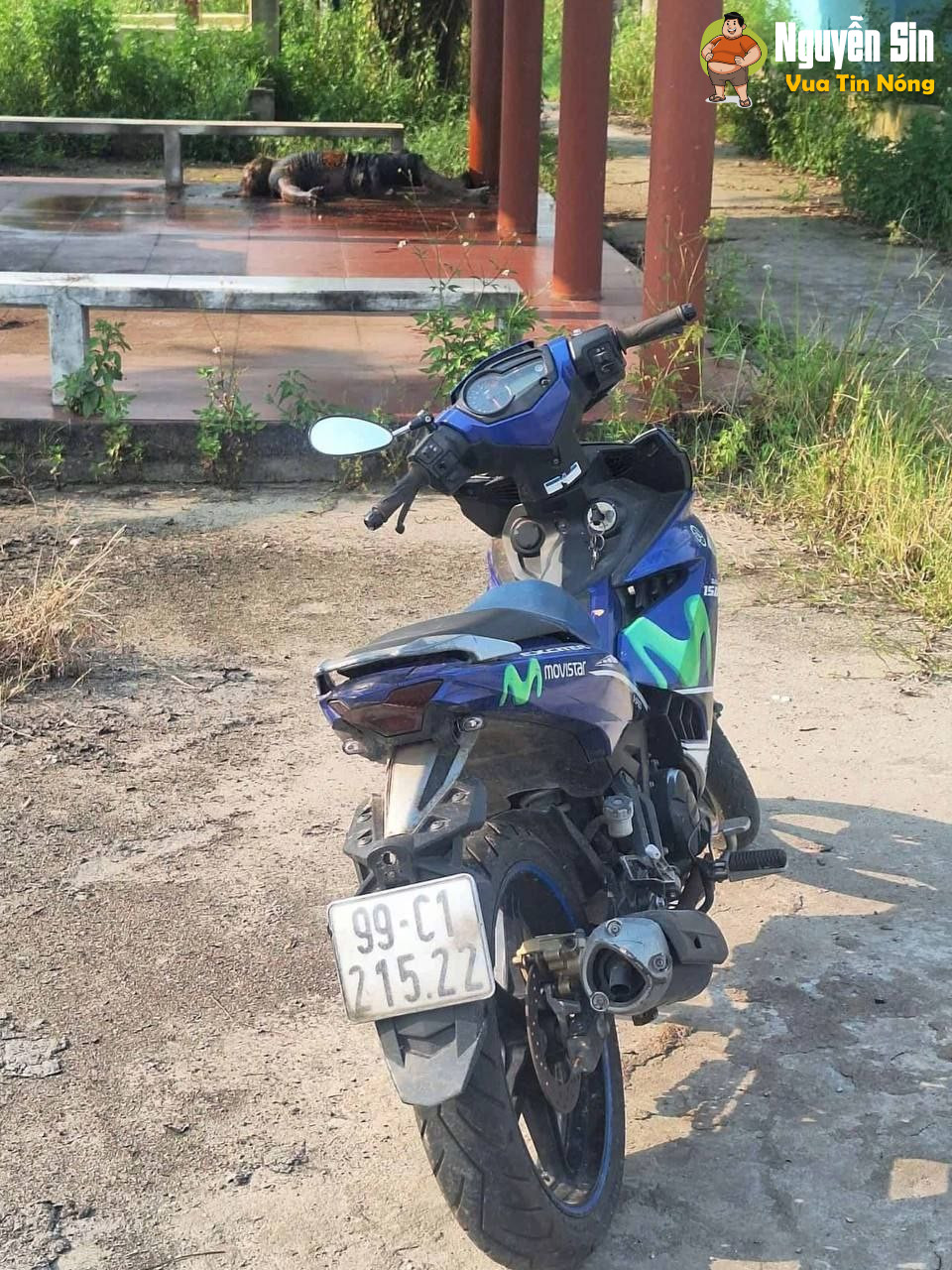 Nghĩa trang Phú Mẫn (Yên Phong – Bắc Ninh): thithe nam giới đang phân hủy