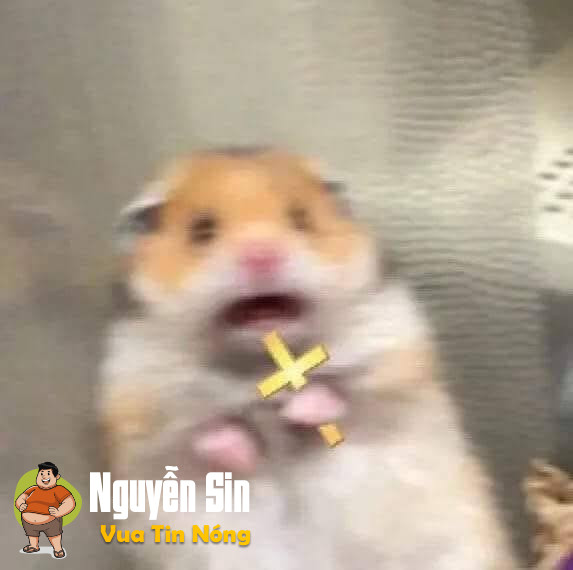 Hồng tỷ 38 tuổi và 1691 câyy lapp có cùng 1dấu răngg =)))
