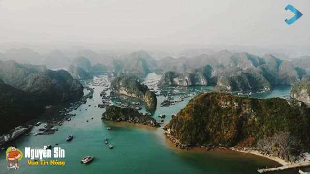 Rơi từ tầng cao, nữ sinh viên Trường Đại học Hồng Đức tuvong