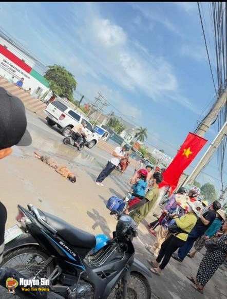 ❗️An Tây – TP.HCM: Người phụ nữ đu trên dây điện hạ thế rồi rơi xuống đất 😢