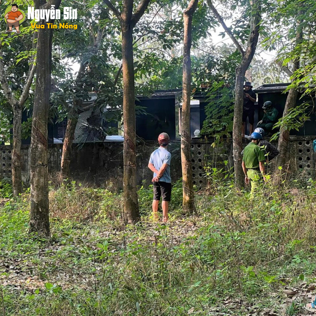 Tây Ninh: Phát hiện shark ng ko chạm đất trong rừng cao su