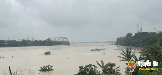 Sập Cầu Phong Châu nối liền hai huyện Lâm Thao và Tam Nông (Phú Thọ).