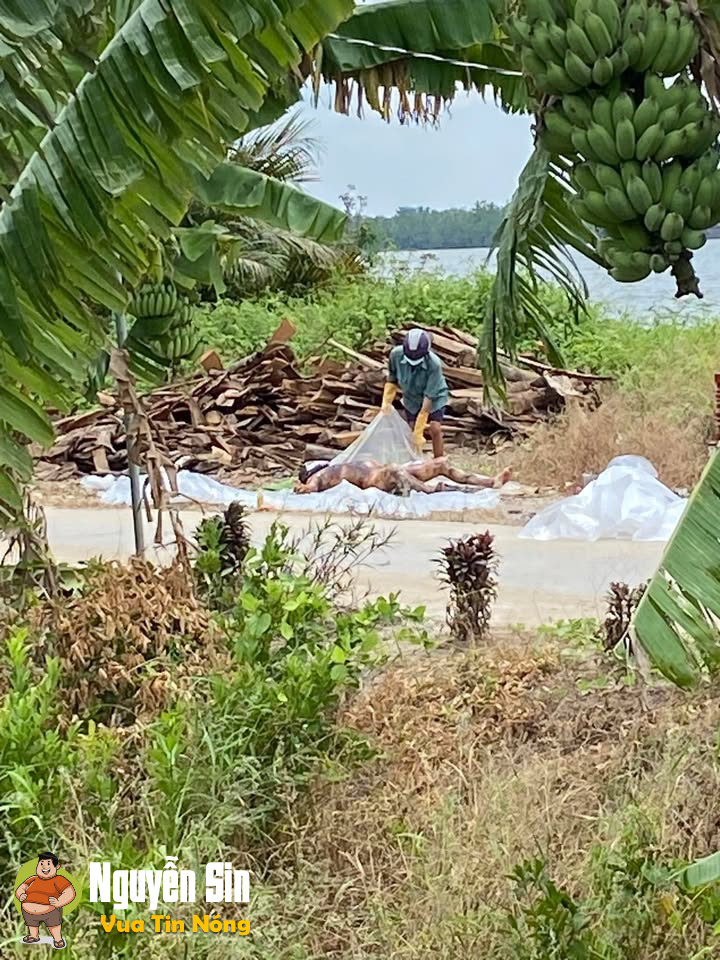 Phát hiện thithe chưa rõ thân nhân ở ấp phước lý nhì, Quới Thiện, Vũng Liêm, Vĩnh Long