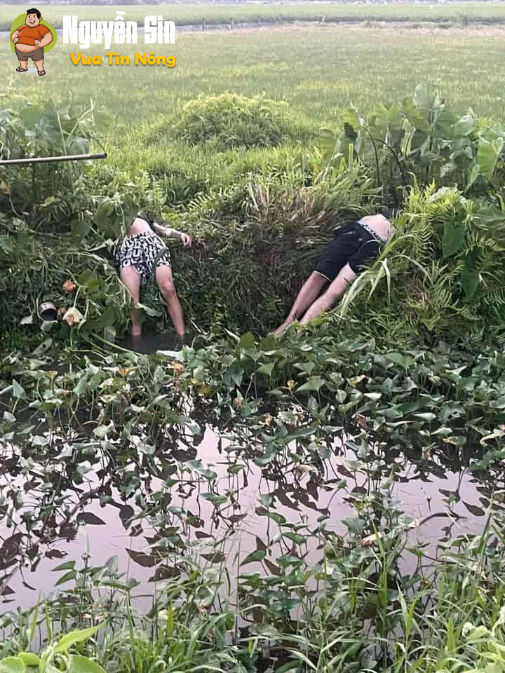 Thượng Vực, Chương Mỹ, Hà Nội