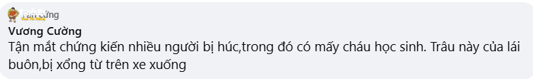 Hà Khẩu- Hạ Long – Quảng Ninh, trâu đ.iên húc một học sinh bị th ương nặng
