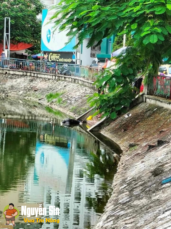 Phát hiện 1 shark ng tại Hồ Quần Ngựa – Hải Phòng