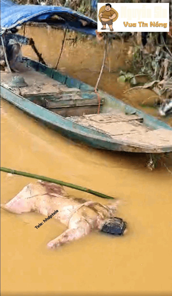 Tìm thấy thithe nạn nhân bị lũ cuốn trôi tại Bắc Quang – Hà Giang