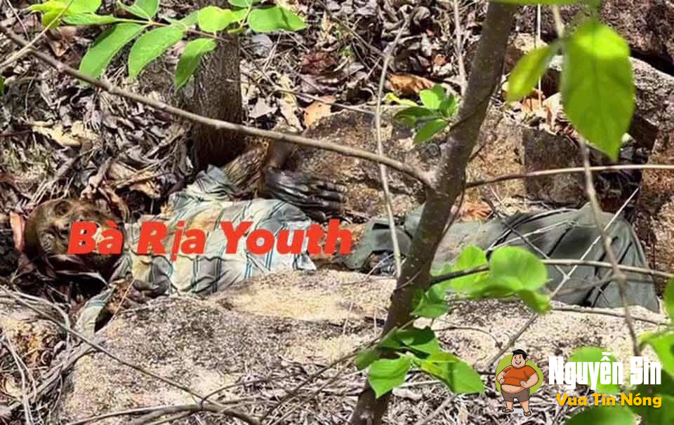 Núi Dinh, BRTV: Phát hiện 1 shark đang ph@nhuy nặng