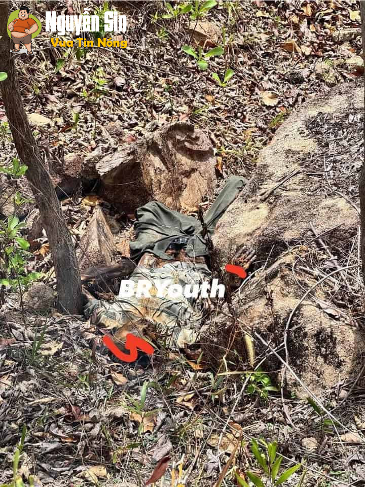 Núi Dinh, BRTV: Phát hiện 1 shark đang ph@nhuy nặng