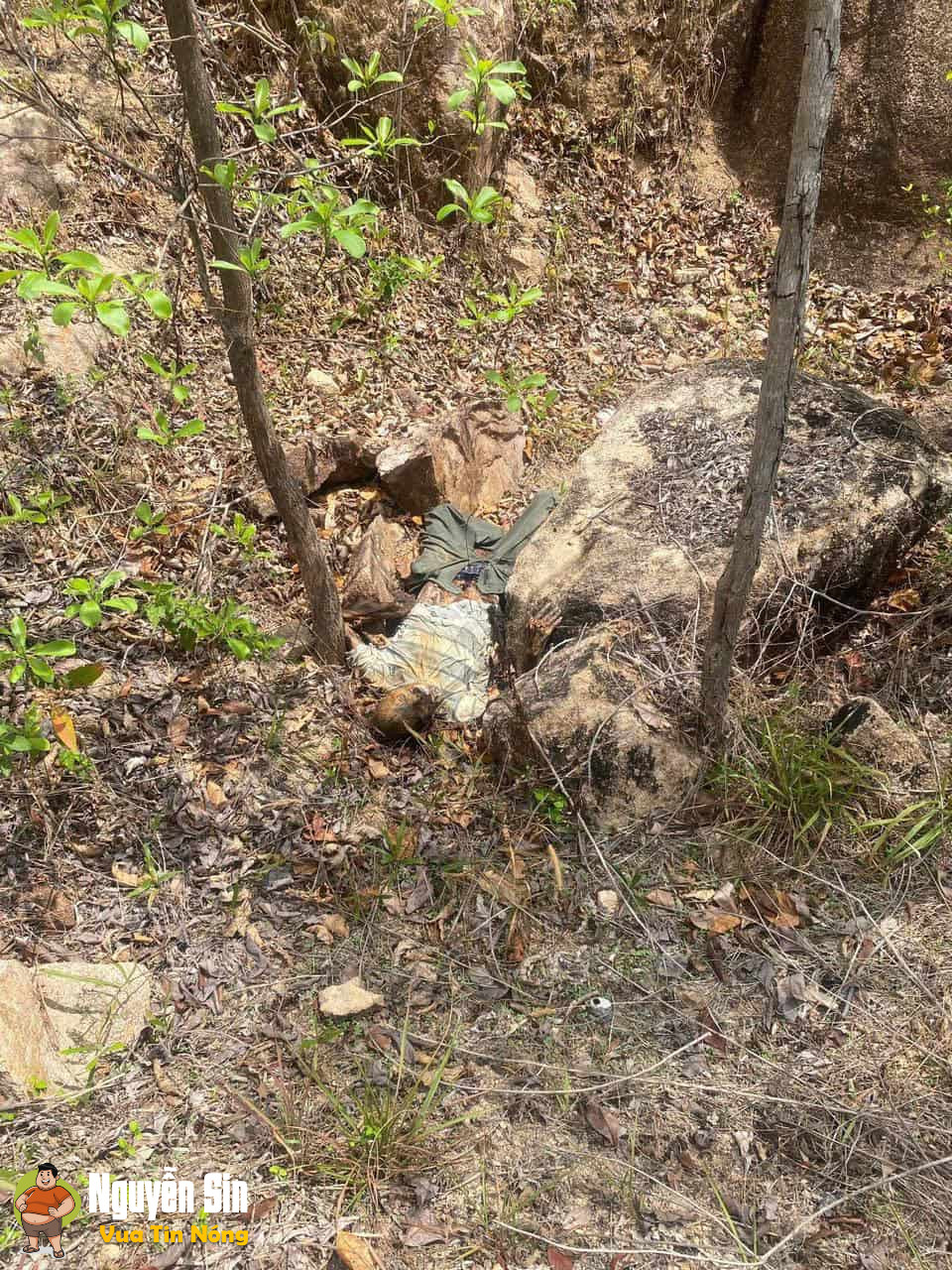 Núi Dinh, BRTV: Phát hiện 1 shark đang ph@nhuy nặng