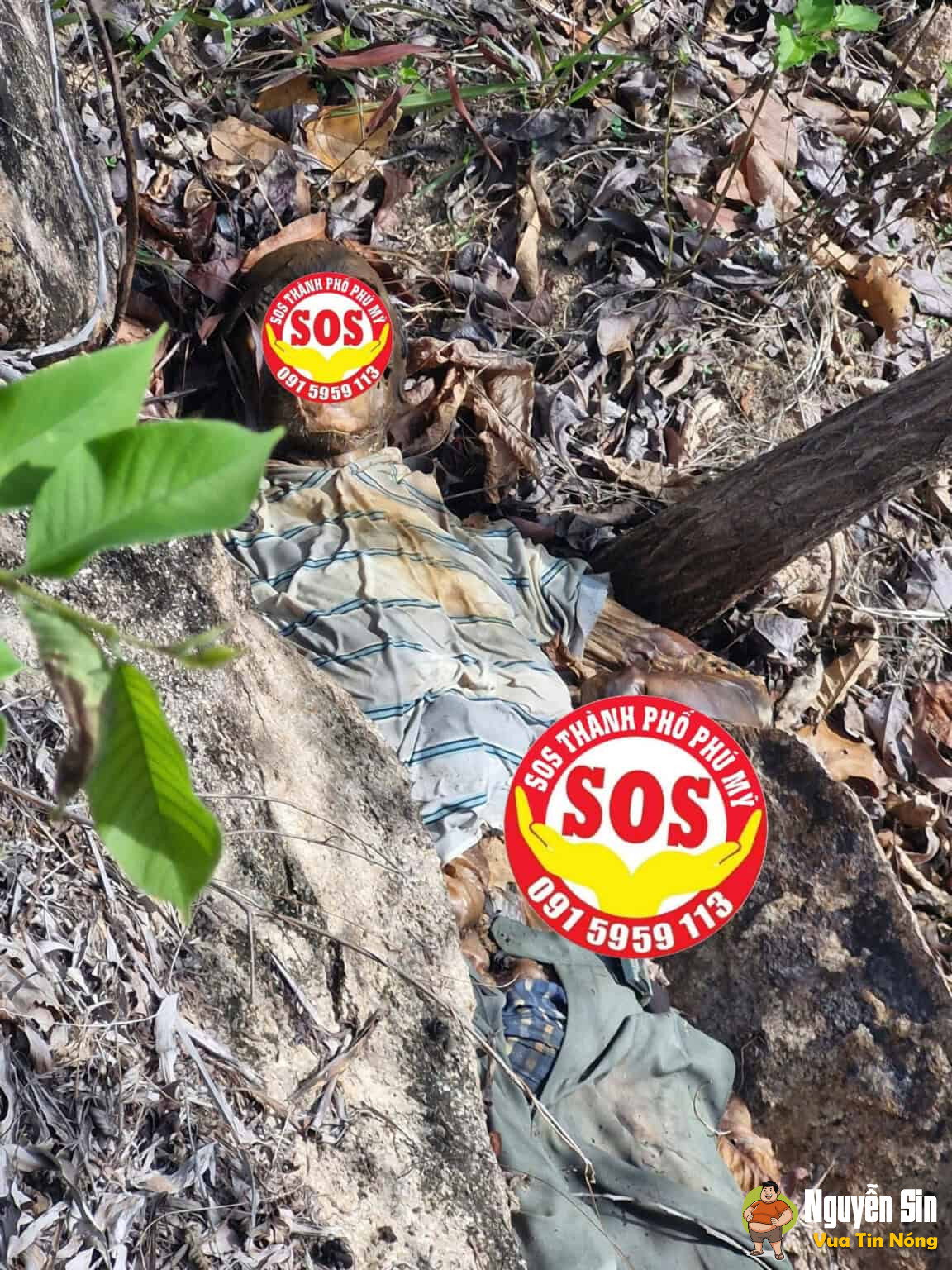 Núi Dinh, BRTV: Phát hiện 1 shark đang ph@nhuy nặng