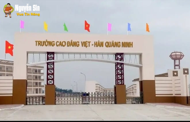 Một hiệu trưởng ở Quảng Ninh nghi rơi từ lầu cao tuvong