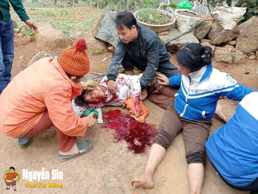 Nghe nói Quý Hoà – Lạc Sơn có biến!