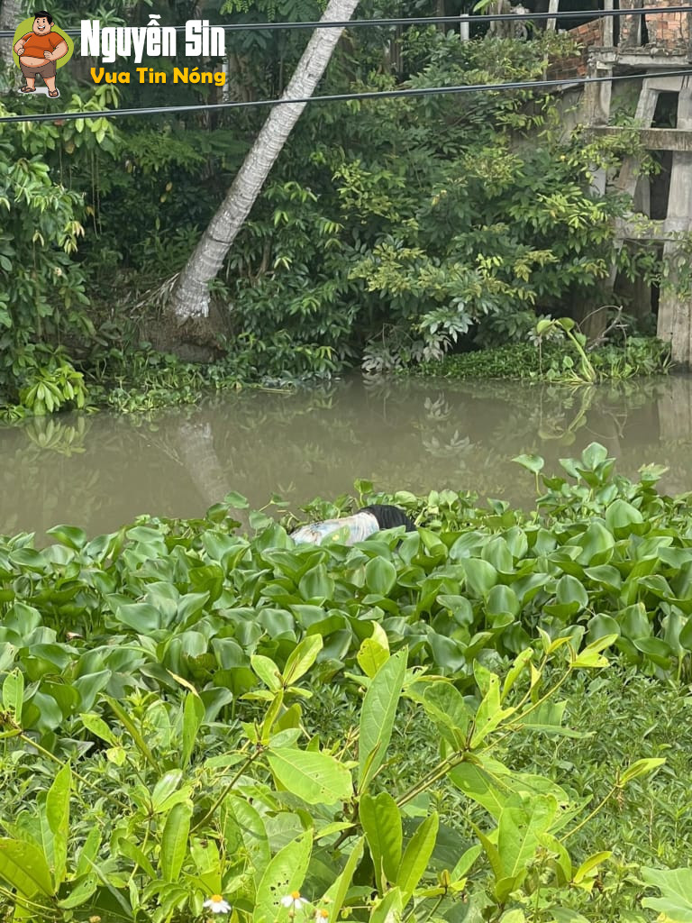 Cầu Gò Dầu – Tây Ninh: Đag ngồi cf thì phát hiện shark trôi tới 
