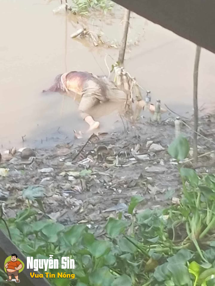 An Giang: Phát hiện 1 shark tr/:ôi sông