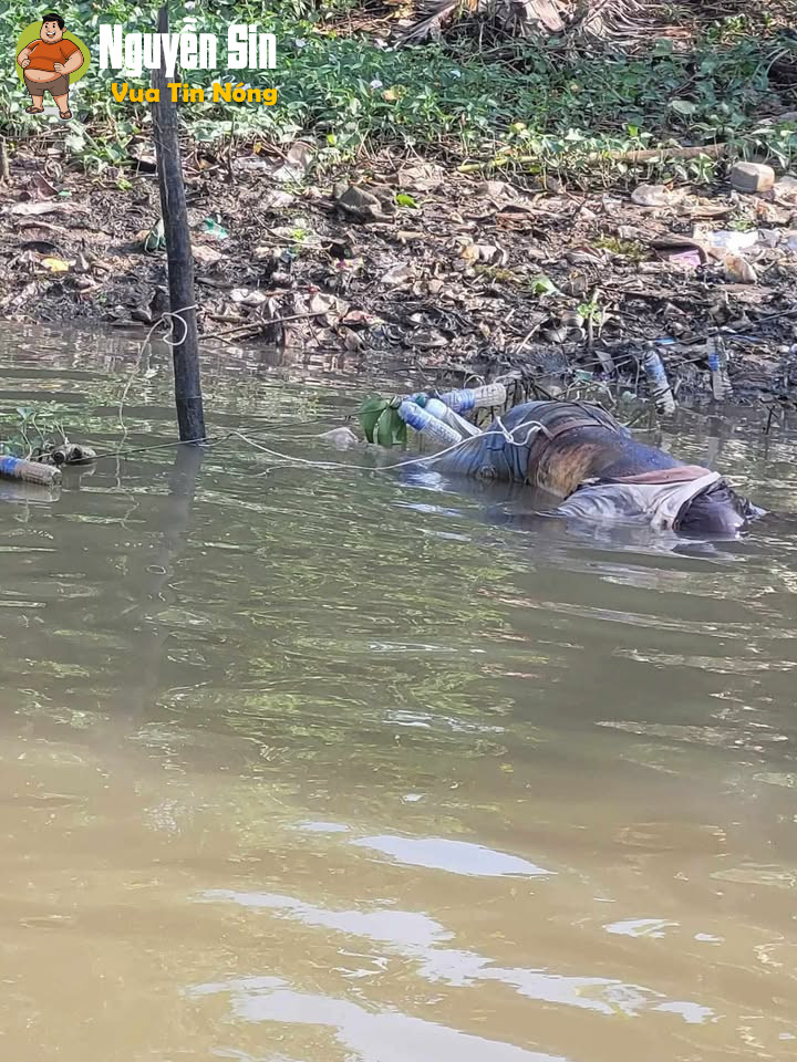 An Giang: Phát hiện 1 shark tr/:ôi sông