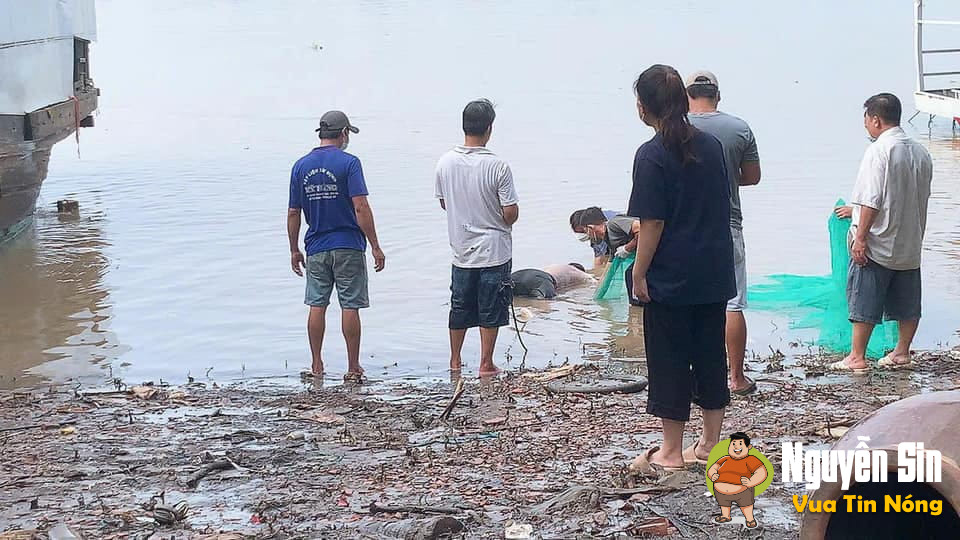 Mỏ Cày Bắc, Bến Tre: học sinh đuối nước do tắm sông , hiện đã tìm thấy thithe