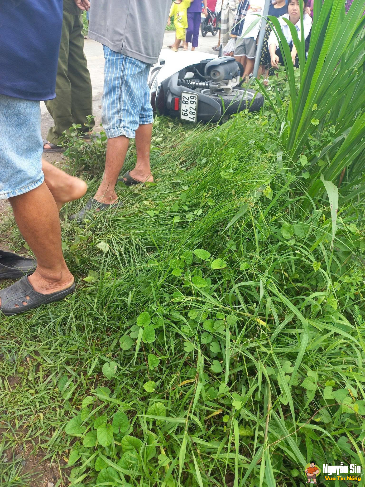 Trà Cú Trà Vinh: Cây phượng bật gốc kéo theo dây điện, sự việc khiến 2 người gặp nạn đáng tiếc…