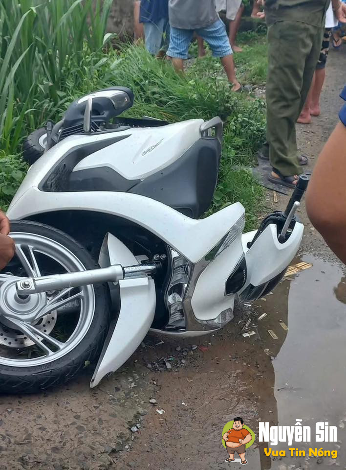 Trà Cú Trà Vinh: Cây phượng bật gốc kéo theo dây điện, sự việc khiến 2 người gặp nạn đáng tiếc…