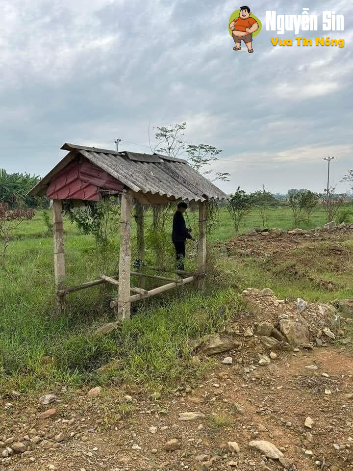 Bình Xuyên Vĩnh Phúc: phát hiện 1 ngươ`i treoco