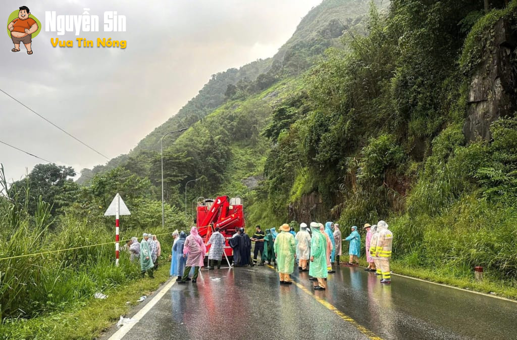 Lâm Đồng: người phụ nữ dàn dựng cảnh TNGT để p*hi t*ang thithe người tình