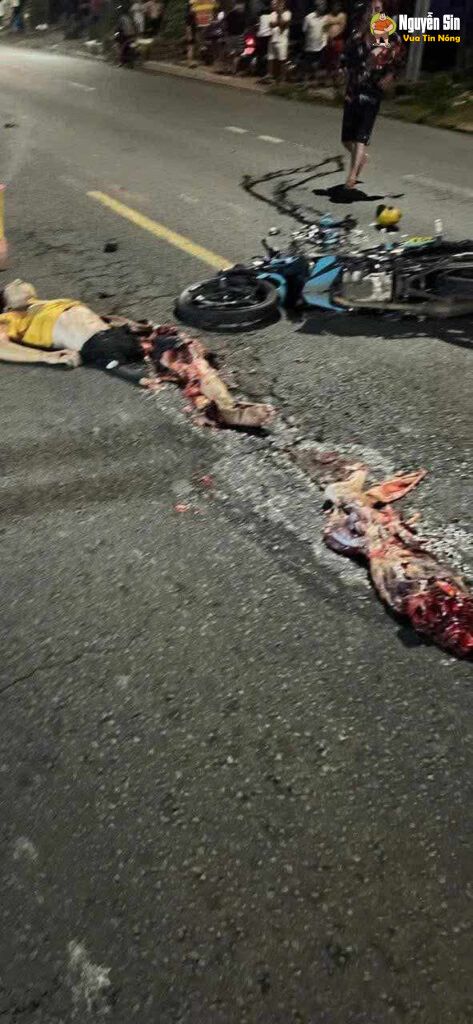 Đồng Nai: Vụ tai nạn giữa 2 xe tai và 1 xe moto. Ninh phát quốc lộ 20. 1 người đi bệnh viện và 1 người ko qua khỏi