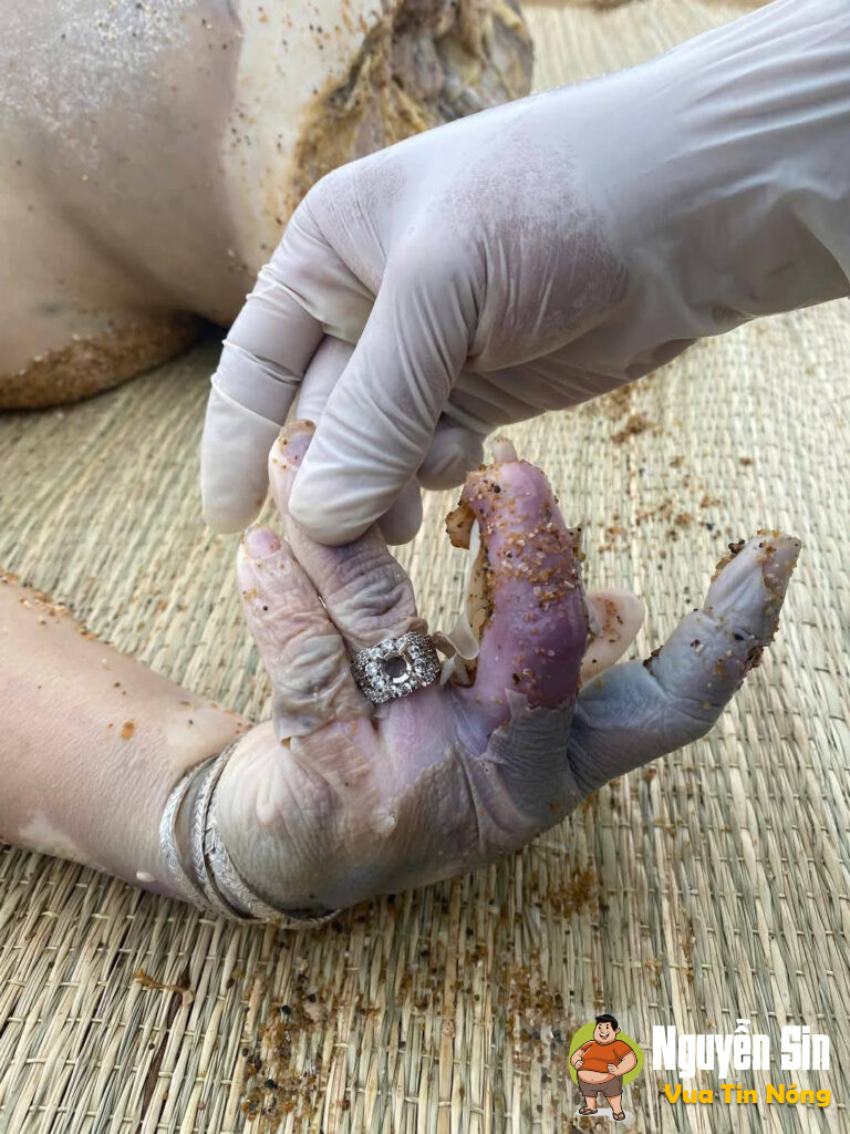 Quảng Nam: phát hiện 01 thithe người, nữ giới (gồm thâ:n người từ b.u.n.g trở lên, 0 đầu, 0 châ:n) trôi vào bờ biển Tình