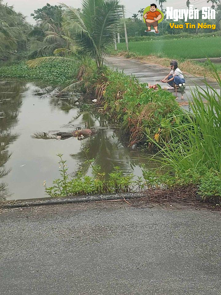 Sáng nay phát hiện 3 thithe