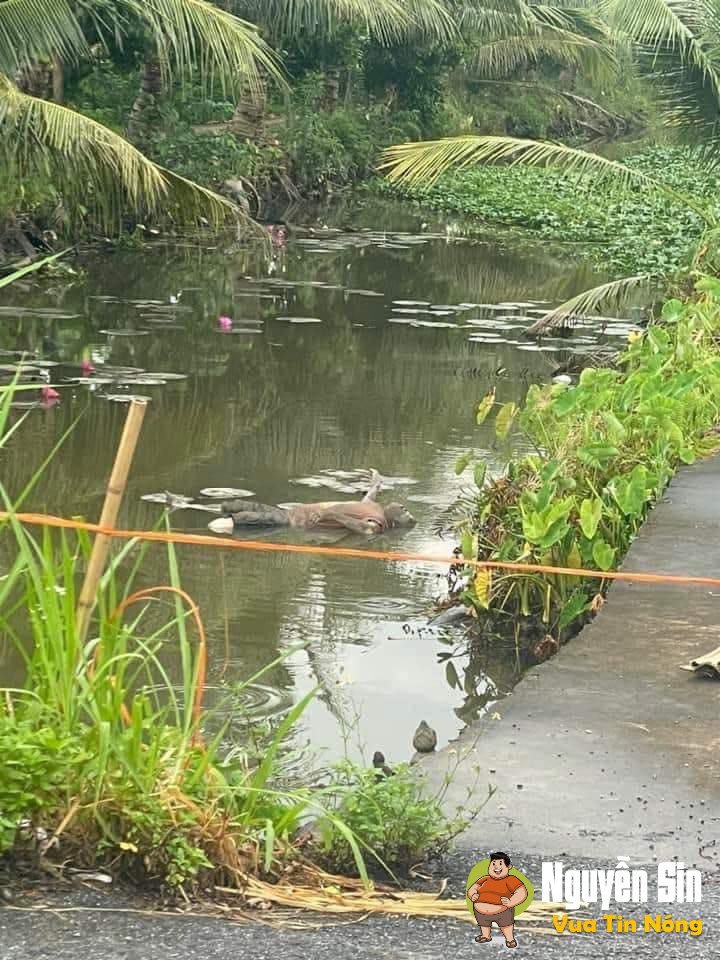 Sáng nay phát hiện 3 thithe