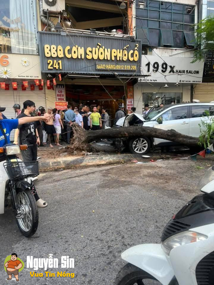 ❗️Chị gái lái xe gây tai nạn liên hoàn, người bị thương + xe máy nằm la liệt.Ngã tư Đại La, Trần Đại Nghĩa, HN.