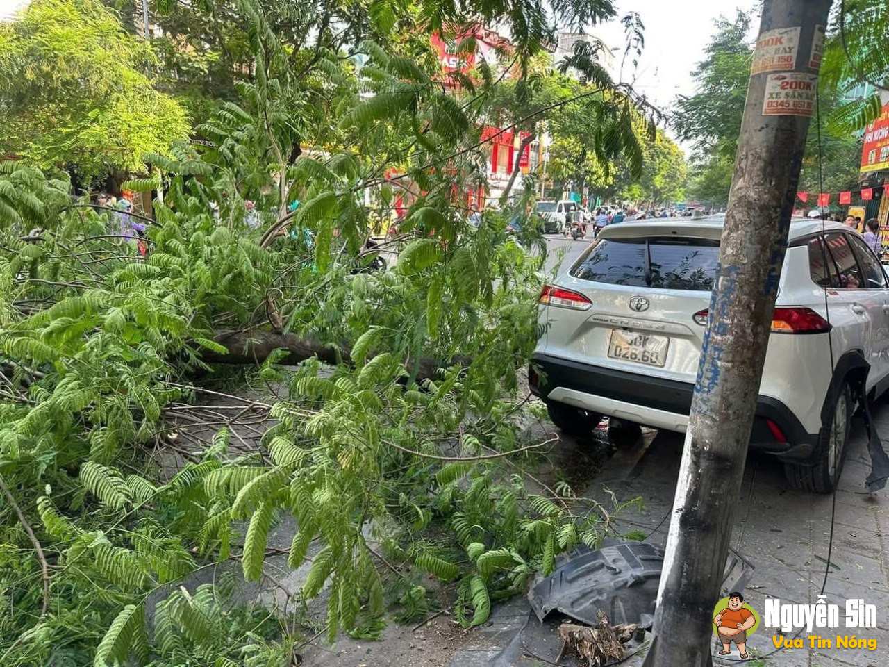 ❗️Chị gái lái xe gây tai nạn liên hoàn, người bị thương + xe máy nằm la liệt.Ngã tư Đại La, Trần Đại Nghĩa, HN.