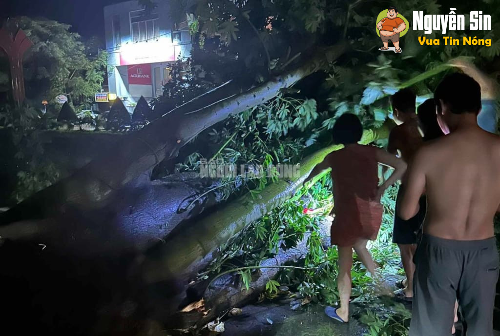 Thanh Hoá: Siêu bão Yagi còn chưa vào nhưng tối qua 1 thanh niên đi xe máy đã bị cây xanh bật gốc đổ xuống đường đè trúng