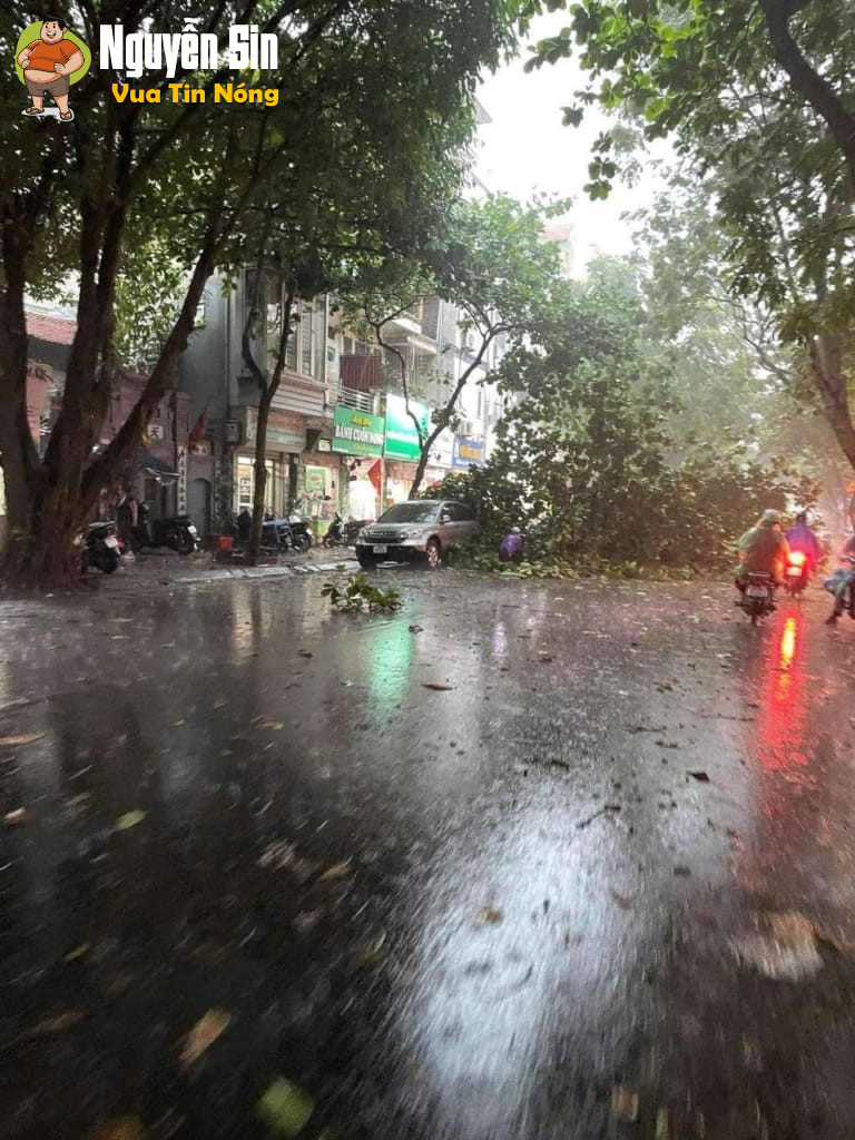 Linh Đàm – Hà Nội, 2 người đi đường bị cây đổ đ::è đang tìm người thân