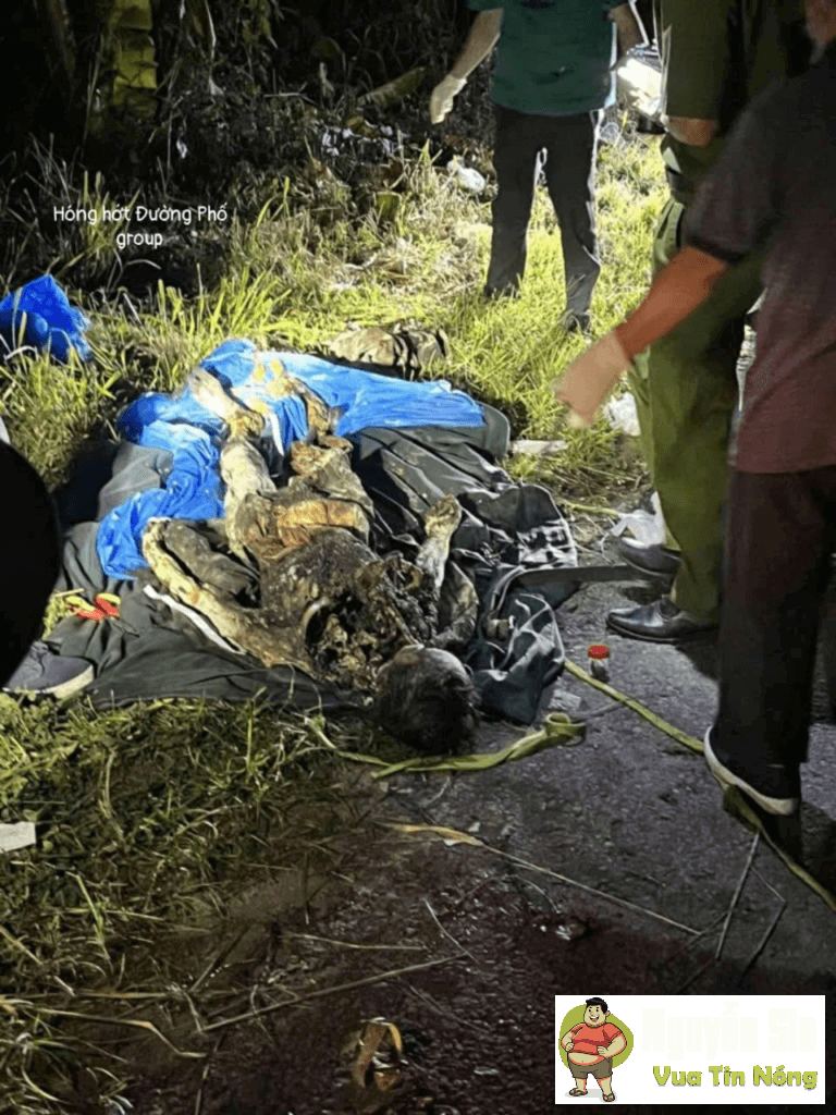 Đèo Sông Pha – Ninh Thuận: Phát hiện 1 thithe đã ph@nhuy nặng