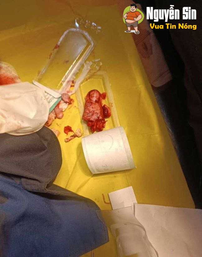 Châu Đức ,Thành phố Phú Mỹ – Bà Rịa Vũng Tàu