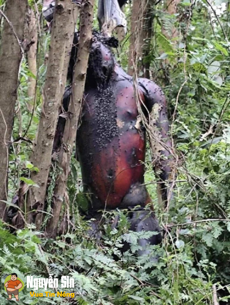 Hoài Ân – Bình Định