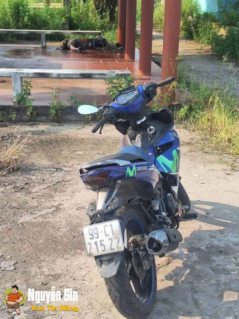❗Nghĩa trang Phú Mẫn (Yên Phong – Bắc Ninh)