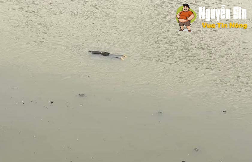 Biến căng Cầu Bên Hướng – Bắc Giang  : Phát hiện 1 người ra đi mãi mãi