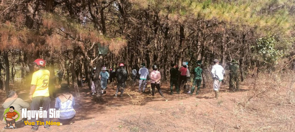 Pleiku – Gia Lai: Phát hiện 1 người 44 trên đồi thông