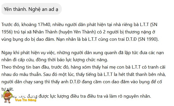 Yên Thành, Nghệ An: Mâu thuẫn gđ, con trai đ/âm mẹ.