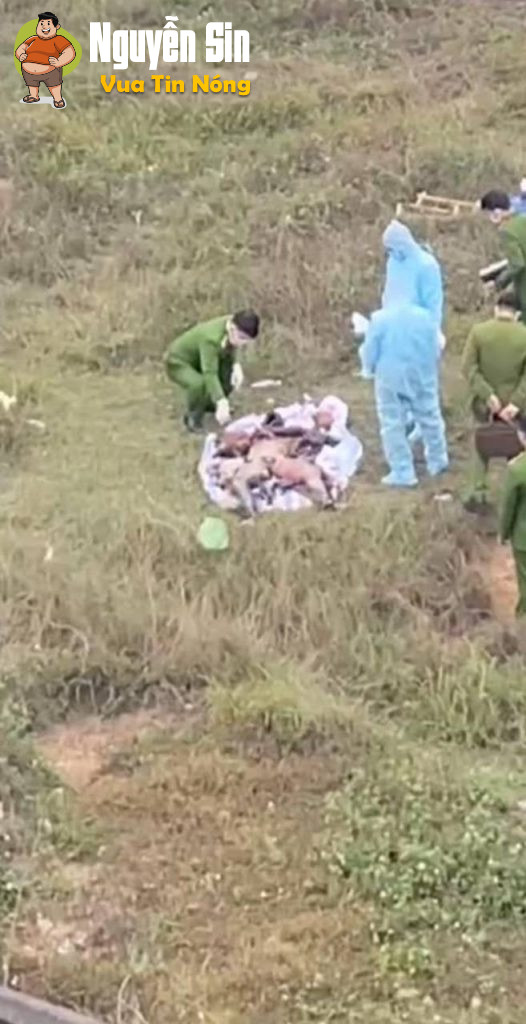 Phổ Yên, Thái Nguyên: phát hiện 1 thi thể đang phân hủy