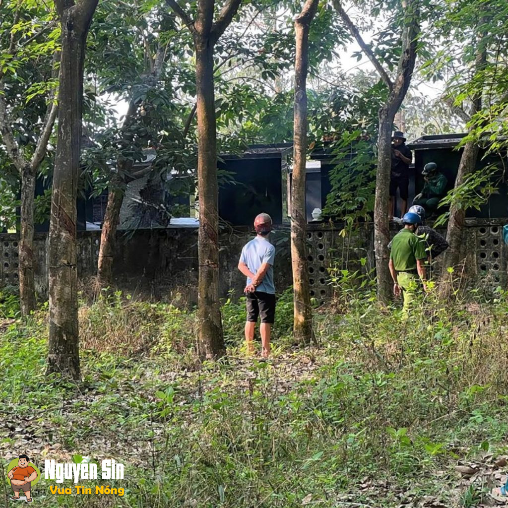 Tây Ninh: Phát hiện 1 thithe trong tư thế treo cổ ở rừng cao su