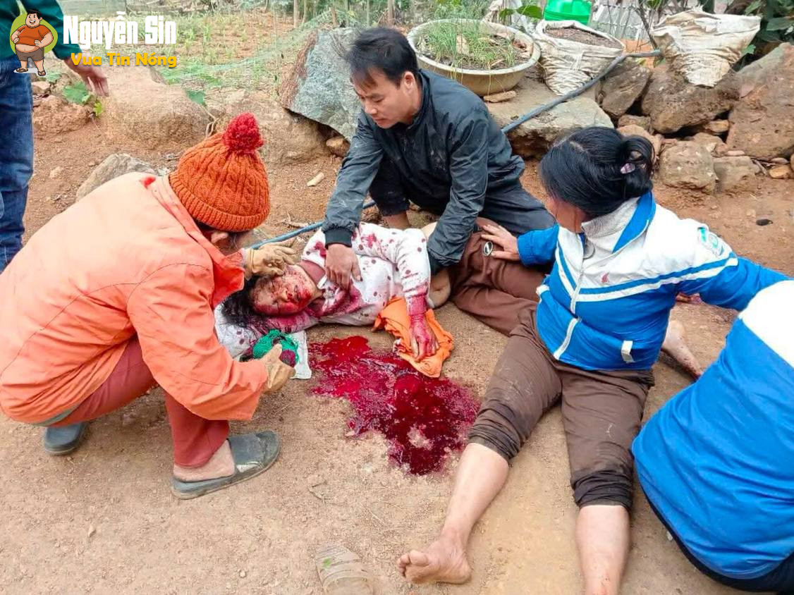 Quý Hoà – Lạc Sơn – Hoà Bình: Nơi lạnh nhất lúc này (nghe bảo tranh chấp đất đai)
